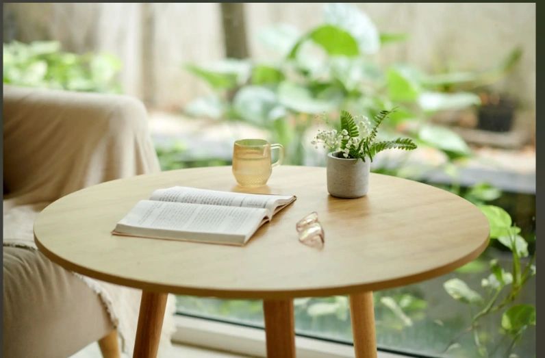A cozy wooden table with a cup, an open book, and a small plant.
