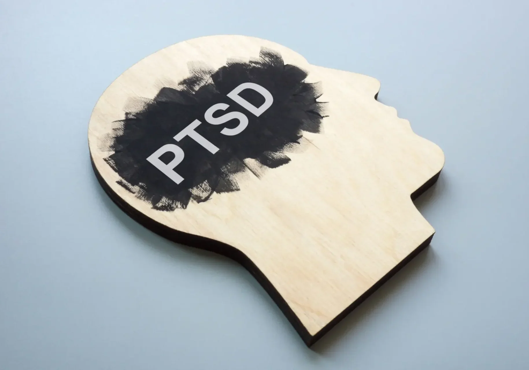 Wooden head cutout with 'PTSD' in the brain area, symbolizing mental health.